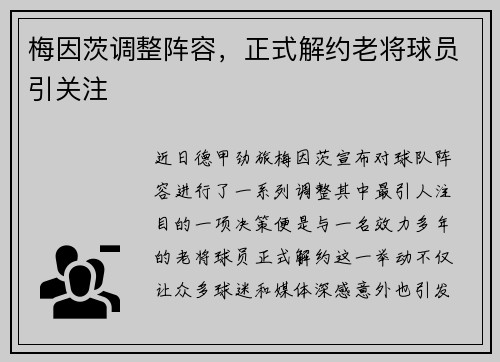 梅因茨调整阵容，正式解约老将球员引关注